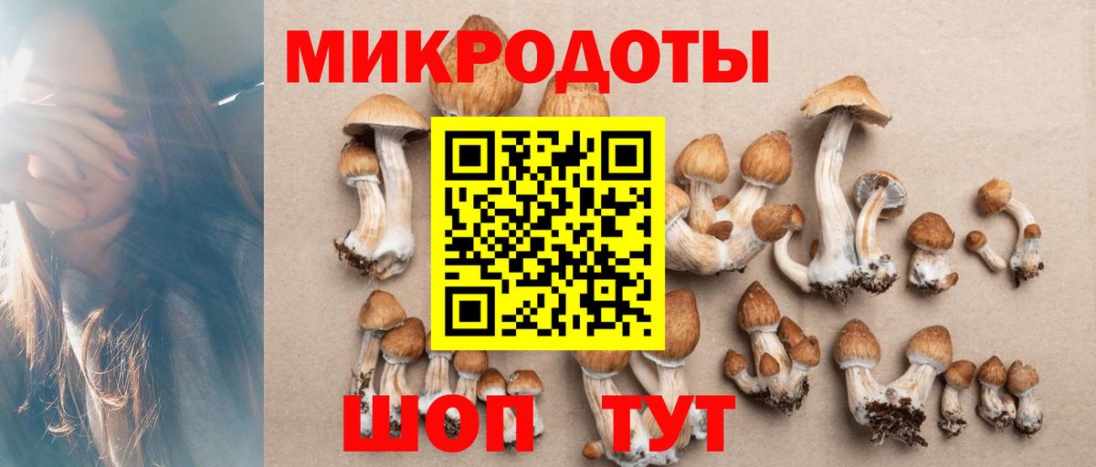 Псилоцибиновые грибы мухоморы Ногинск