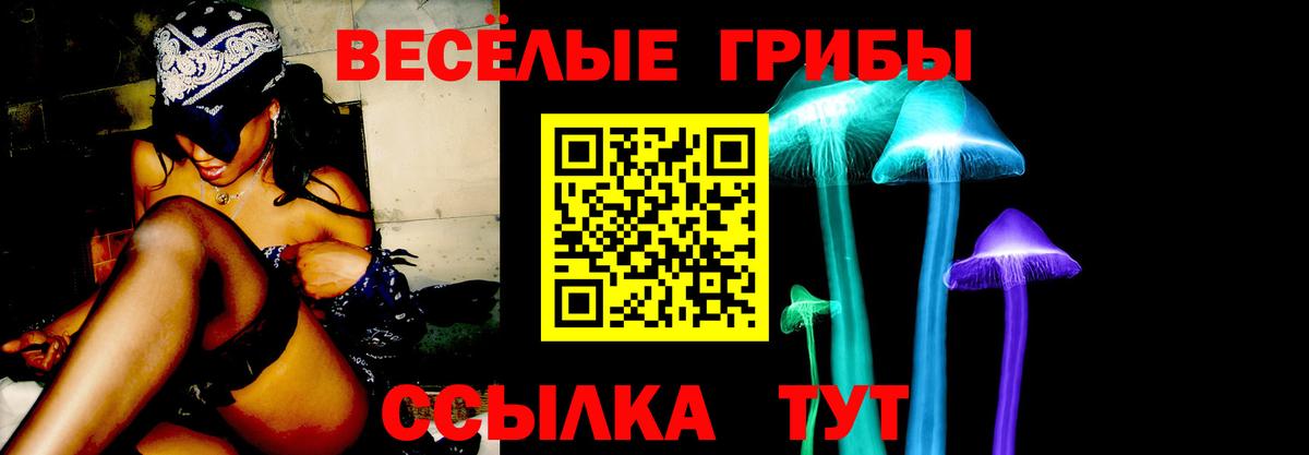 Ногинск  Псилоцибиновые грибы мицелий  Вход с VPN  Галлюциногенные грибы Psilocybine cubensis 